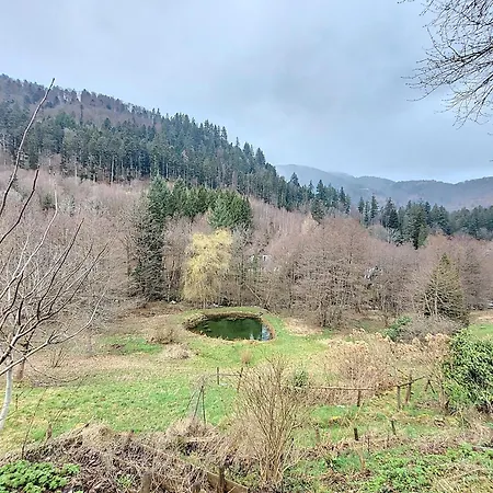 Chalet Mittlach