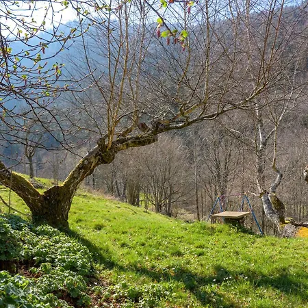 Chalet Chalet