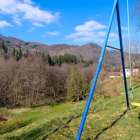 Chalet Chalet Mittlach
